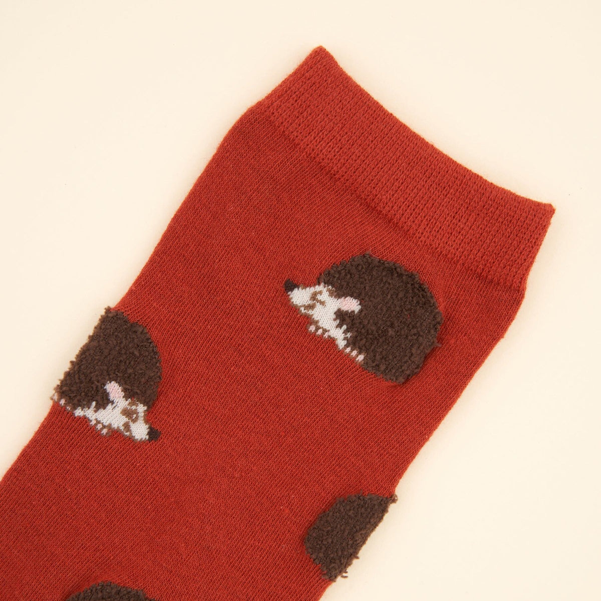 Hedgehog Socks