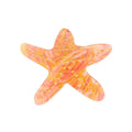 Mini Starfish Hair Claw