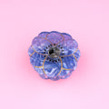 Anemone Hair Claw