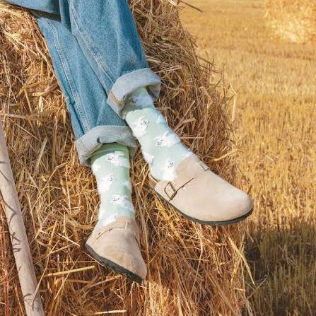 Rabbit Socks